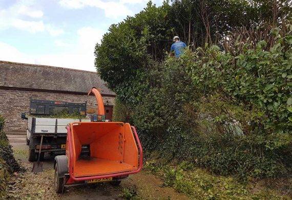 coast and country hedge trimming machine