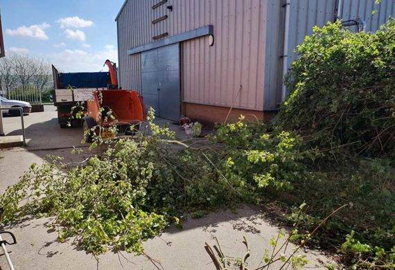 coast and country tree clearance