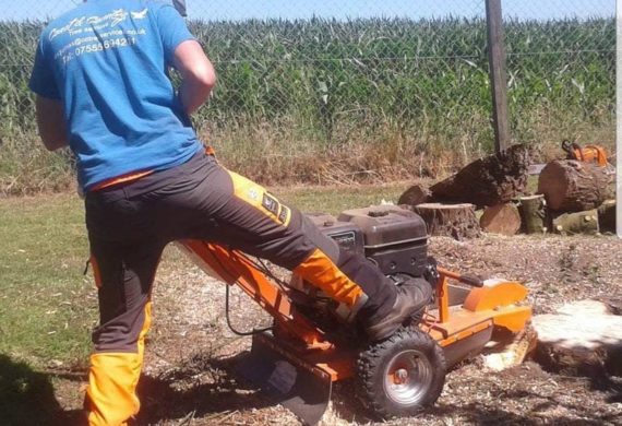 man cutting tree stump