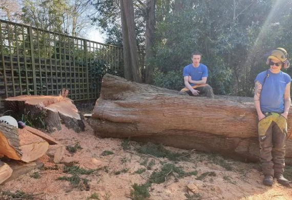 men sitting on cut down tree